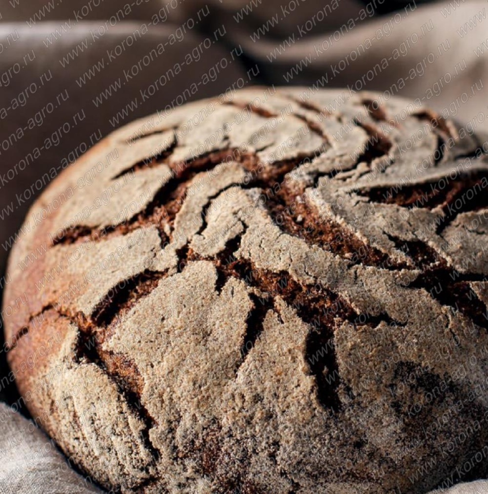 картинка Заварной п/ф для хлебопечения "Эйва Темная" (12кг) от магазина Корона агро