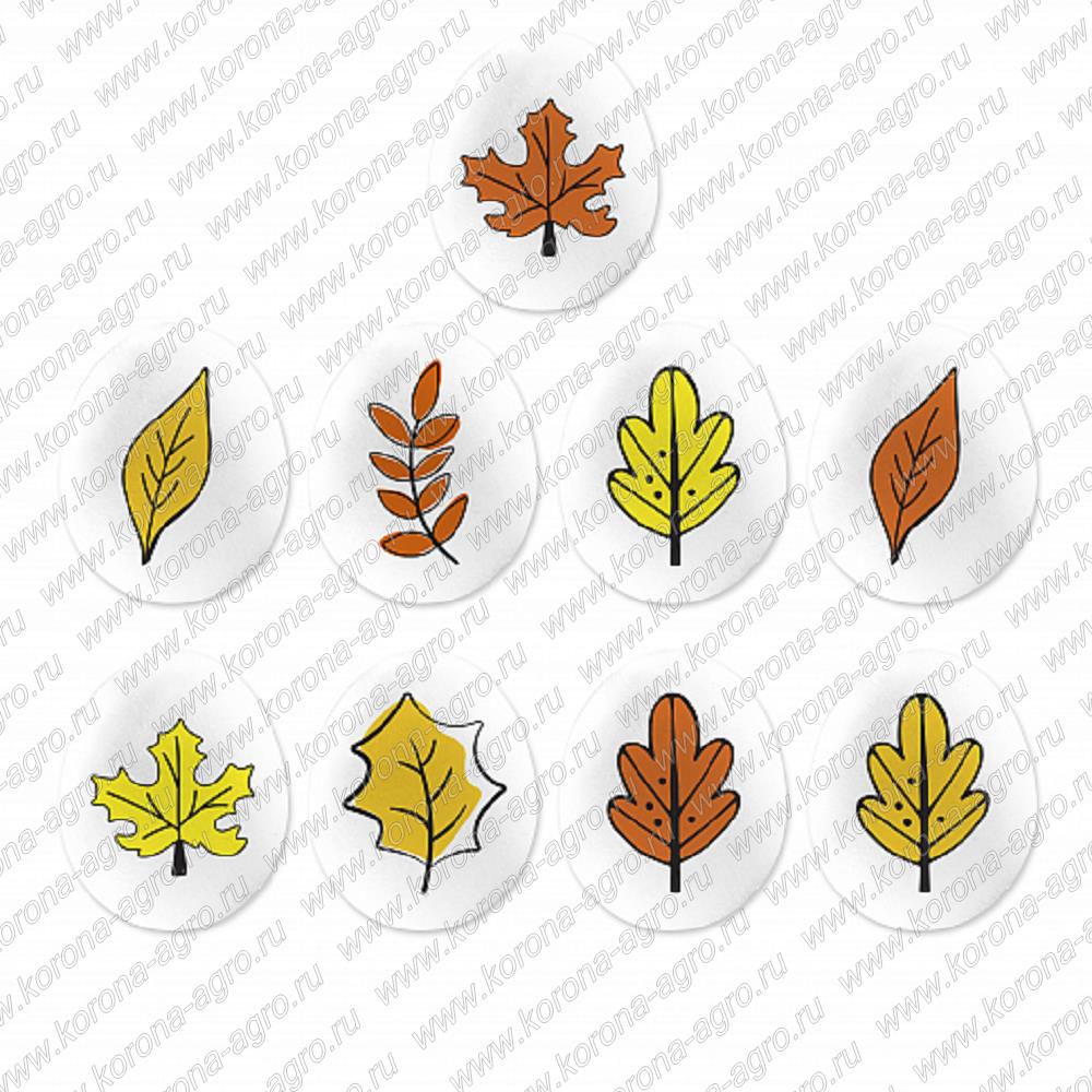 картинка Сахарные медальоны "Осень мини" ,65г для кондитеров и пекарей  от магазина Корона агро