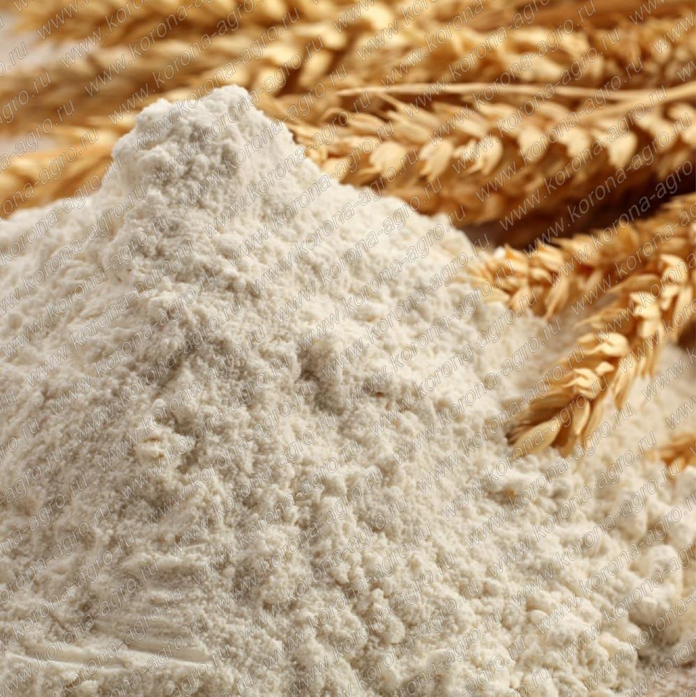 картинка Глютен пшеничный от магазина Корона агро