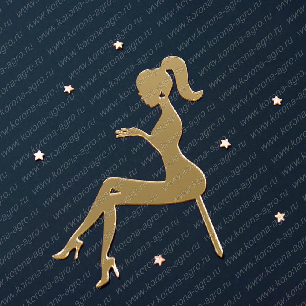 картинка Топпер силуэт "Сидящая девушка №1" золото 14*18см для кондитеров и пекарей  от магазина Корона агро