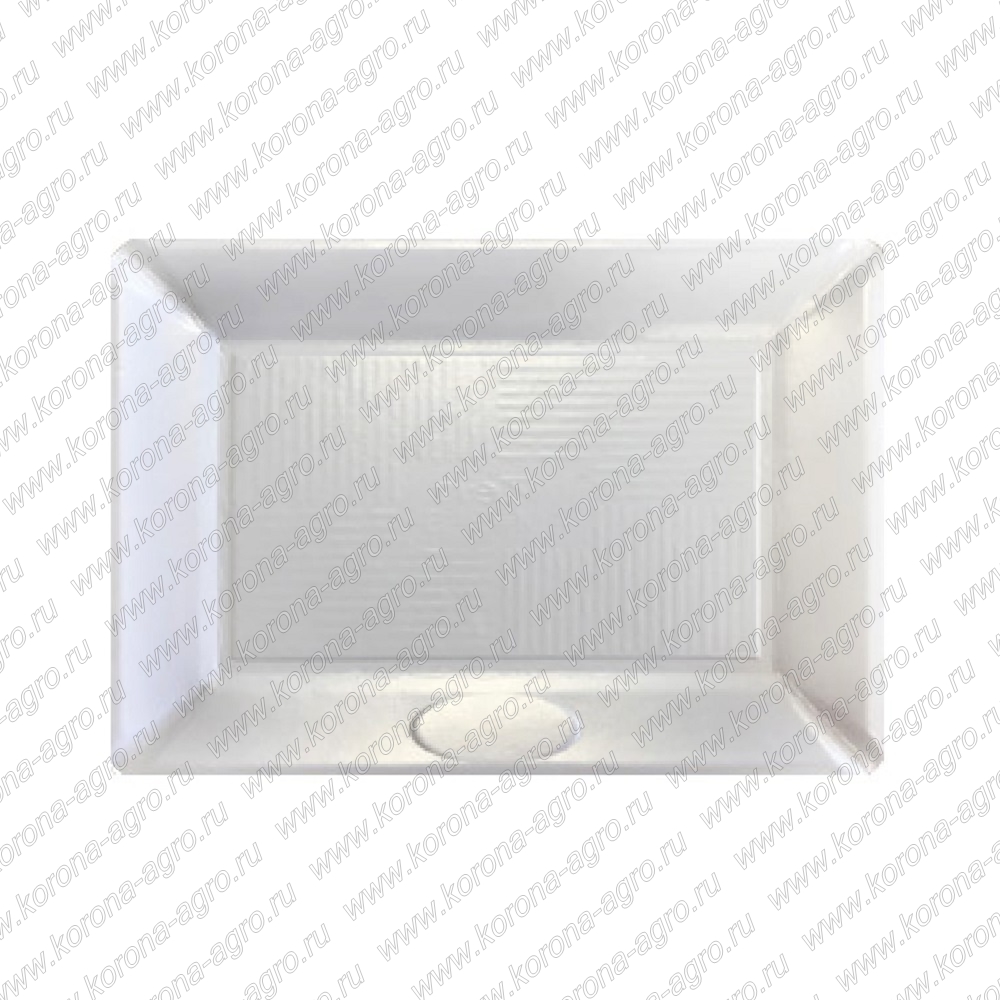 Поднос ДЗЕН картонный прямоугольный перламутровый 45x33см (пакет 50 шт.)