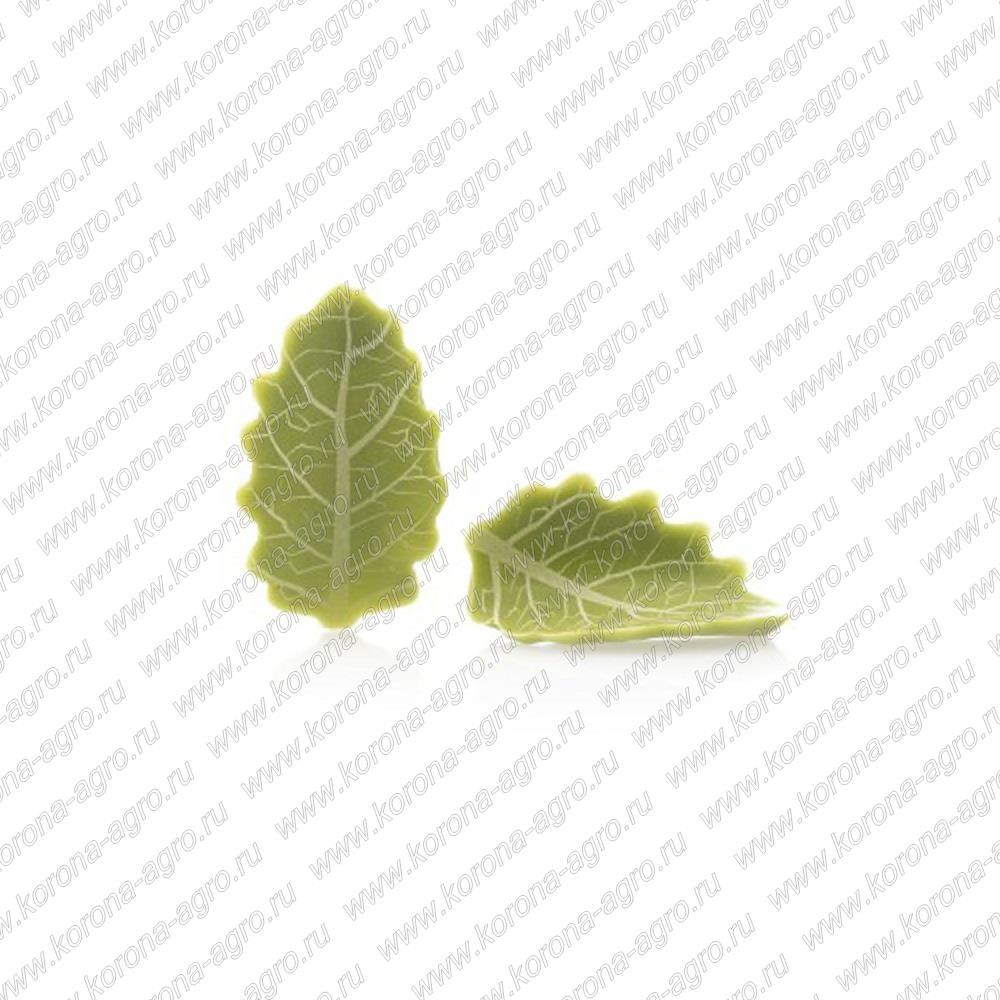 картинка Украшение шоколадное Извилистый листок зеленый	 Dobla (144шт)  для кондитеров и пекарей  от магазина Корона агро